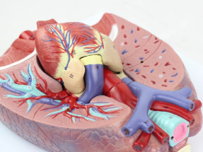 病理性废物检测